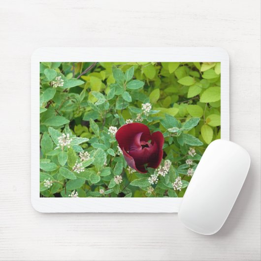 Blumenbeet im Frühjahr Mousepad (Mit Mouse)