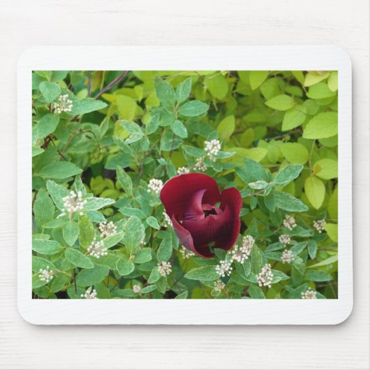 Blumenbeet im Frühjahr Mousepad (Vorne)