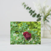 Blumenbeet im Frühjahr Postkarte (Stehend Vorderseite)