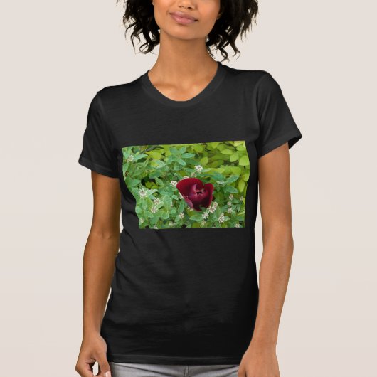 Blumenbeet im Frühjahr T-Shirt (Vorderseite)