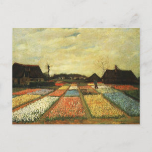 Blumenbeete in Holland Postkarte