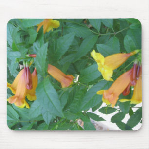 Blumenbilder Mousepad