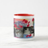 Blumenblatt-Feder-Kordsamt und Mercedes-Tasse Tasse (Zentrum)