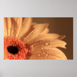 Blumenblatt-Tropfen Poster