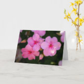 Blumenblätter im Rosa Karte (Gelbe Blume)