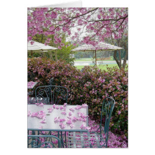 Blumenblätter reichlich