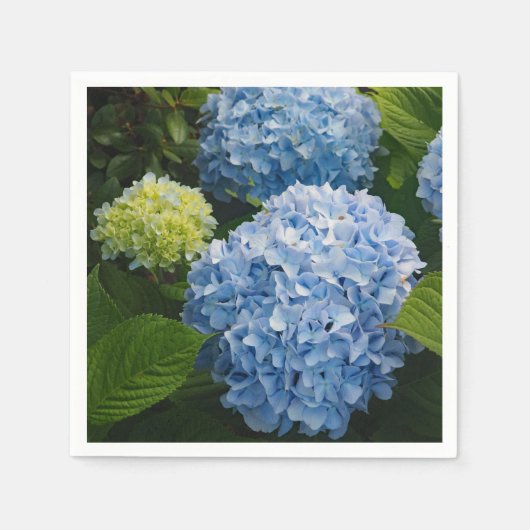 Blumenblauer Hydrangea-Foto Serviette (Vorderseite)