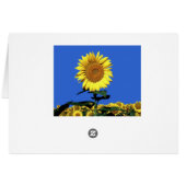 Blumenblume - Begrüßungskarte für Sonnenblumen (Rückseite Horizontal)