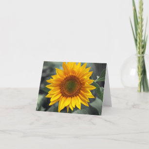 Blumenblume Gelbe Blumen - Liebe, Hallo etc. Karte