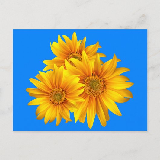 Blumenblume Gelbe Blüten Blauer Himmel Postkarte (Vorderseite)