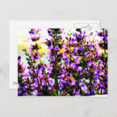 Blumenblume Postkarte (Vorne/Hinten)