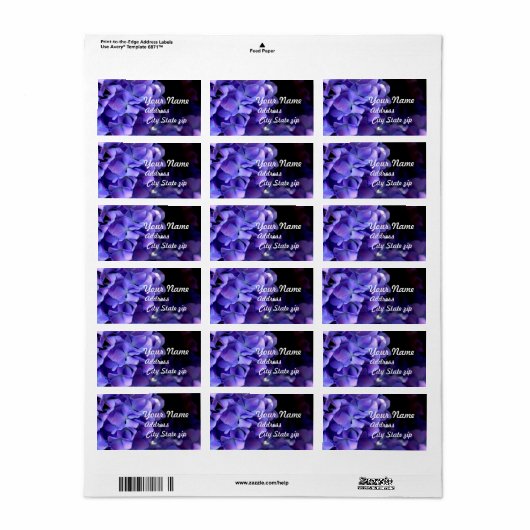 Blumenblumen, Blütenblüten, Hydrangeas Adressaufkleber (Vorne)