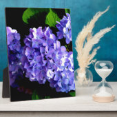 Blumenblumen, Blütenblüten, Hydrangeas Fotoplatte (Seite)