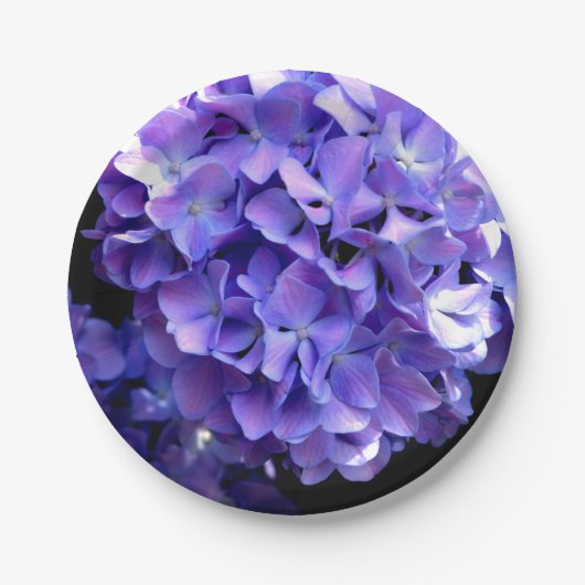 Blumenblumen, Blütenblüten, Hydrangeas Pappteller (Vorderseite)