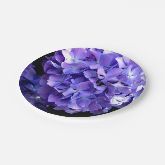 Blumenblumen, Blütenblüten, Hydrangeas Pappteller (Schrägansicht)