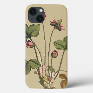 BlumenBlumen-botanischer Garten iPhone 6 Fall Case-Mate iPhone Hülle