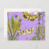 Blumenbotanische Schmetterlingserscheinung Postkarte (Vorne/Hinten)