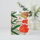 Blumenbücher Postkarte (Stehend Vorderseite)