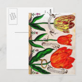 Blumenbücher Postkarte (Vorne/Hinten)