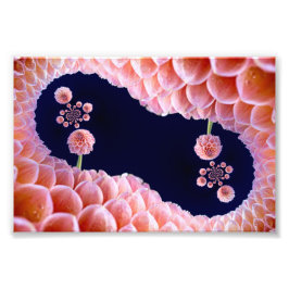 Blumendenken Fotodruck