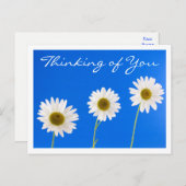 Blumendenken Sie White Daisy Blume - Hallo Postkarte (Vorne/Hinten)