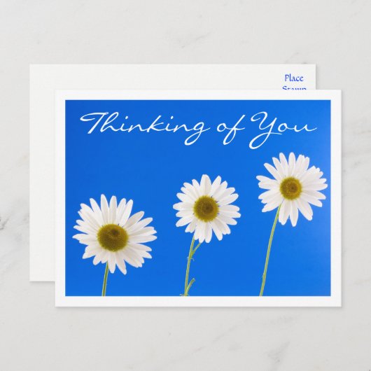 Blumendenken Sie White Daisy Blume - Hallo Postkarte (Vorne/Hinten)