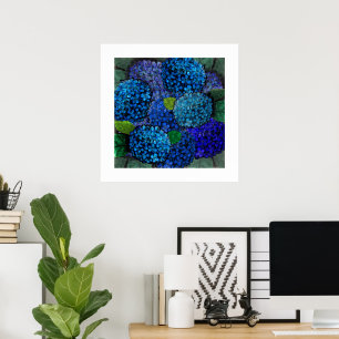 Blumendesign Blaue Hortensienblüte Poster