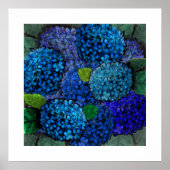 Blumendesign, Blue Hydrangea Print Poster (Vorne)