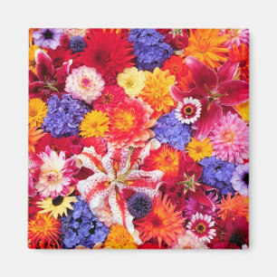Blumendesign von Dalhia, Orientalische Lilien, Magnet