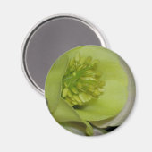 Blumendetails Magnet (Vorderseite/Rückseite)