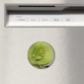 Blumendetails Magnet (In Situ (Geschirrspüler))