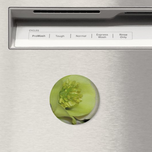 Blumendetails Magnet (In Situ (Geschirrspüler))