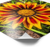 Blumendruck 1 Foto (Ecke)