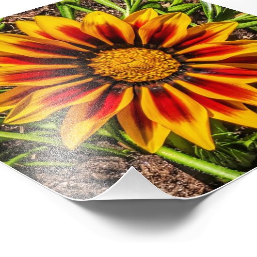 Blumendruck 1 Foto (Ecke)