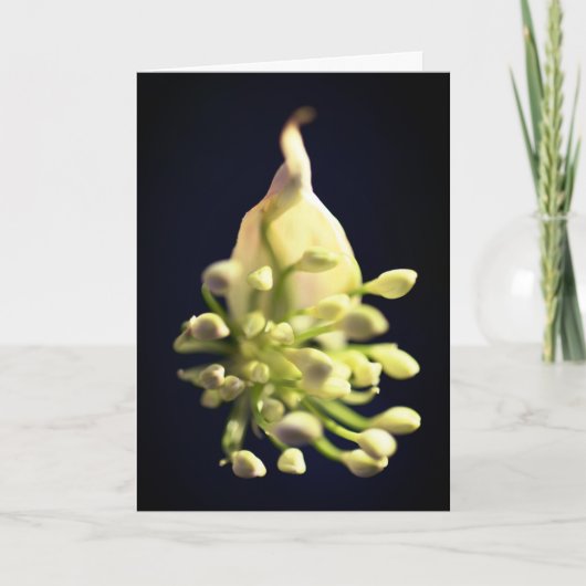 Blumendruck geklappt dank Karte (Vorderseite)