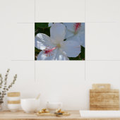 Blumenduft Canvas Print Poster (Küche)