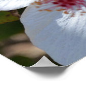 Blumenduft Canvas Print Poster (Ecke)