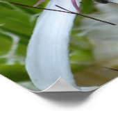 Blumenduft Canvas Print Poster (Ecke)