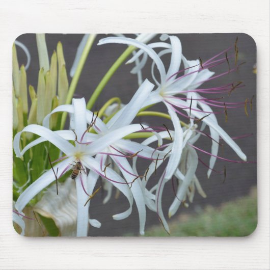 Blumenduft Mouse Pad Mousepad (Vorne)