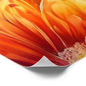 Blumenexplosion: Bursting-Farbmuster Poster (Ecke)