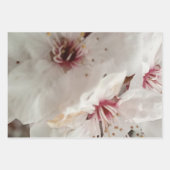 Blumenexplosion Geschenkpapier Set (Vorderseite 3)