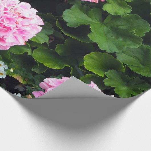 Blumenfarbenes Rosa Geranium Foto Geschenkpapier (Ecke)