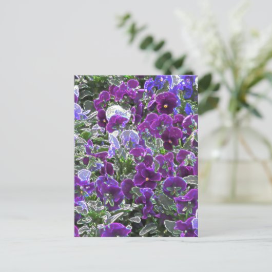 Blumenfeld 8420 Stiefmütterchen Postkarte (Stehend Vorderseite)