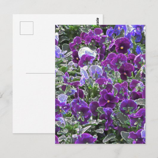 Blumenfeld 8420 Stiefmütterchen Postkarte (Vorne/Hinten)