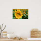 Blumenfeld. Bezirk Heidleberg Poster (Küche)