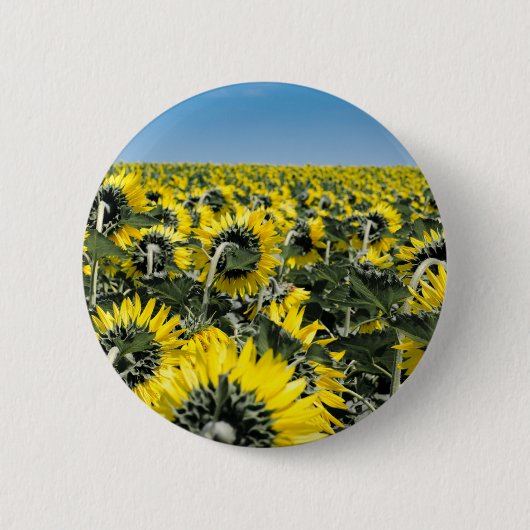 Blumenfeld Button (Vorderseite)