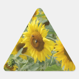 Blumenfeld Dreieckiger Aufkleber