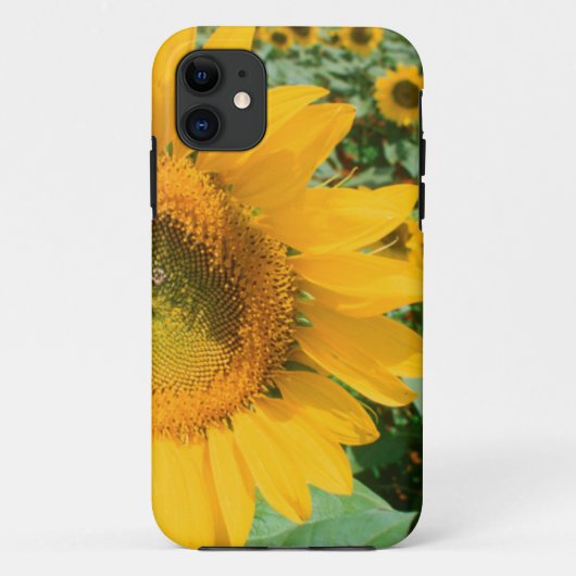 Blumenfeld Heidleberg Case-Mate iPhone Hülle (Rückseite)