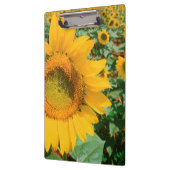 Blumenfeld Heidleberg Klemmbrett (Links)