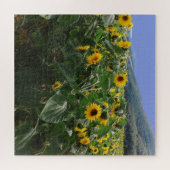 Blumenfeld in Südfrankreich Puzzle (Horizontal)